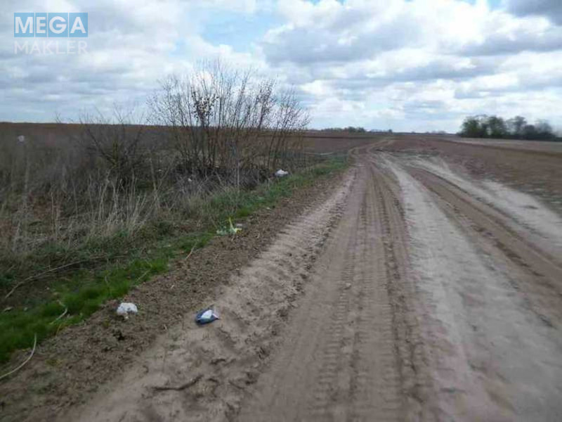 Продажа участка, 200 соток, земля сельскохозяйственного назначения, <a class="location-link" href="/voronkov/" title="Недвижимость Вороньків">Вороньків</a>, Вороньків (изображение 7)