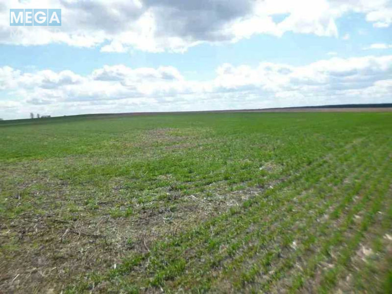Продажа участка, 200 соток, земля сельскохозяйственного назначения, <a class="location-link" href="/voronkov/" title="Недвижимость Вороньків">Вороньків</a>, Вороньків (изображение 2)