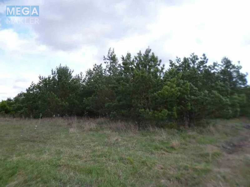 Продажа участка, 200 соток, земля сельскохозяйственного назначения, <a class="location-link" href="/voronkov/" title="Недвижимость Вороньків">Вороньків</a>, Вороньків (изображение 4)