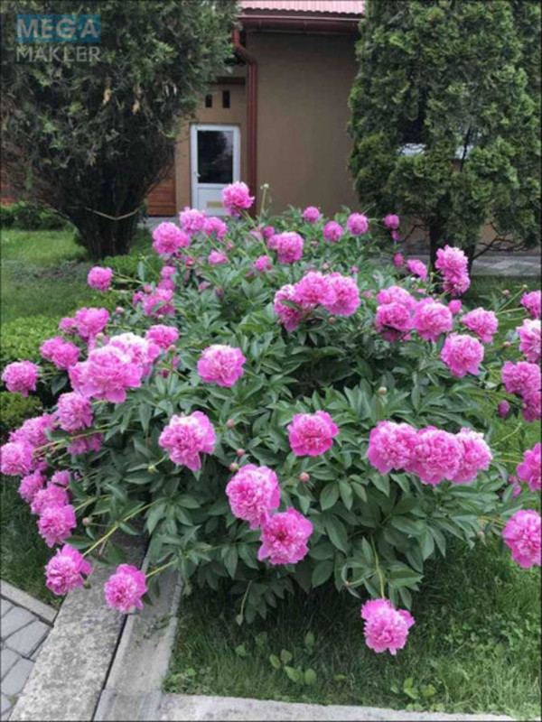 Продаж дома, 2 поверху, 145 кв.м, 10 кімнат, ділянка 10 соток, <a class="location-link" href="/hust/" title="Недвижимость Хуст">Хуст</a>, Центральна (изображение 18)