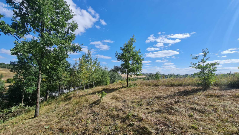 Продажа участка, 20 соток, участок под жилую застройку, <a class="location-link" href="/lesniki-selo/" title="Недвижимость Лісники">Лісники</a>, Щаслива (изображение 18)
