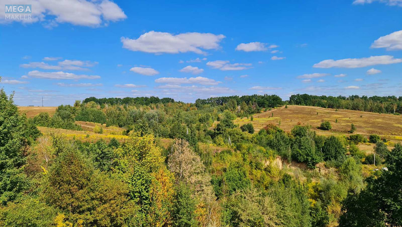 Продажа участка, 20 соток, участок под жилую застройку, <a class="location-link" href="/lesniki-selo/" title="Недвижимость Лісники">Лісники</a>, Щаслива (изображение 23)