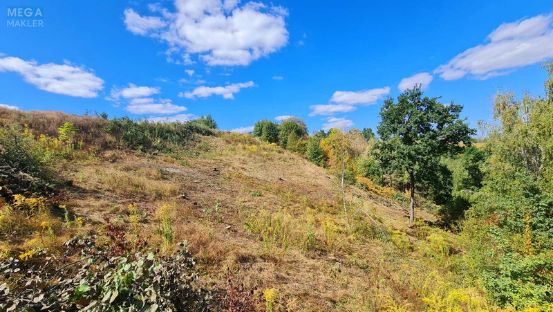 Продажа участка, 20 соток, участок под жилую застройку, <a class="location-link" href="/lesniki-selo/" title="Недвижимость Лісники">Лісники</a>, Щаслива (изображение 24)