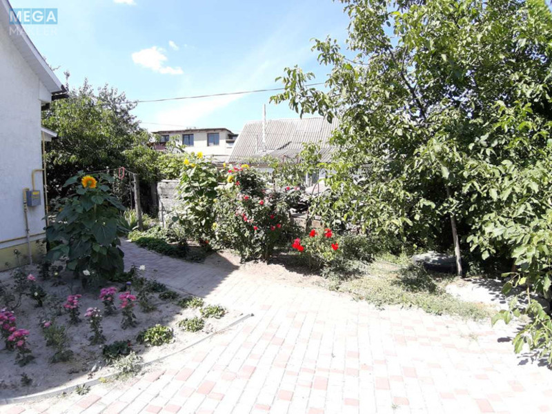 Оренда дома, <a class="location-link" href="/novye-petrovcy/" title="Недвижимость Нові Петрівці">Нові Петрівці</a>, Новые Петровцы, 68 (изображение 21)