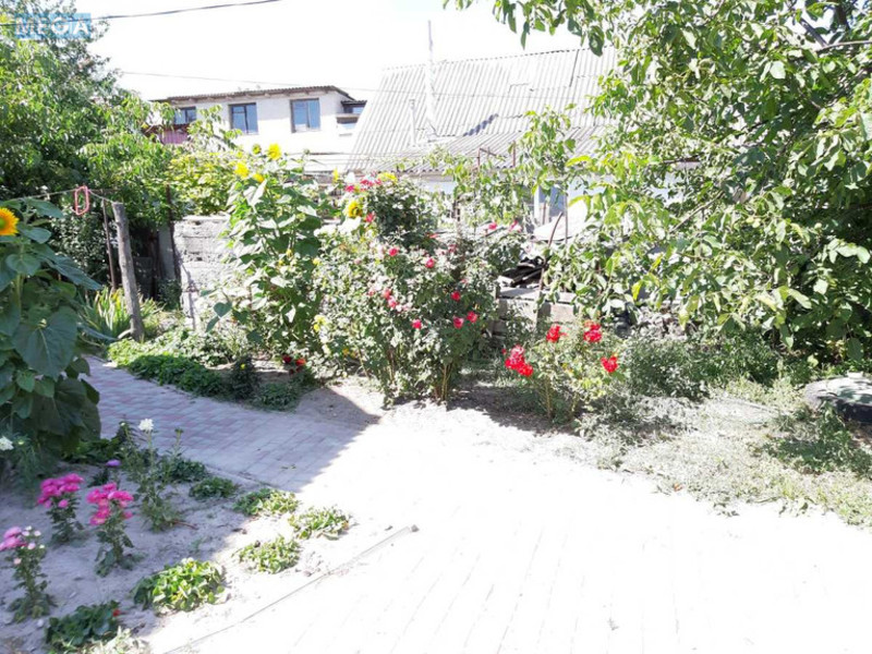 Оренда дома, <a class="location-link" href="/novye-petrovcy/" title="Недвижимость Нові Петрівці">Нові Петрівці</a>, Новые Петровцы, 68 (изображение 22)