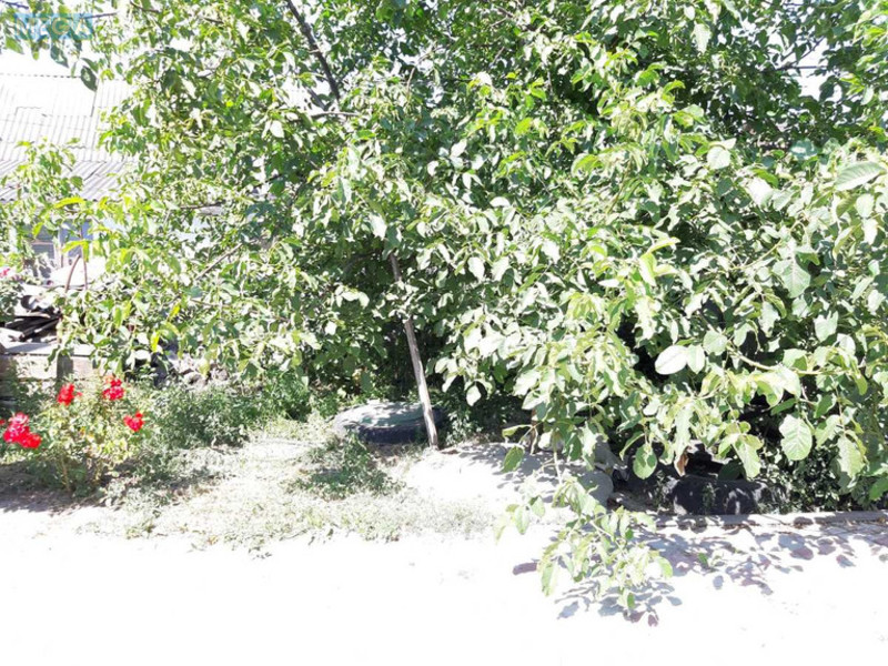 Оренда дома, <a class="location-link" href="/novye-petrovcy/" title="Недвижимость Нові Петрівці">Нові Петрівці</a>, Новые Петровцы, 68 (изображение 25)