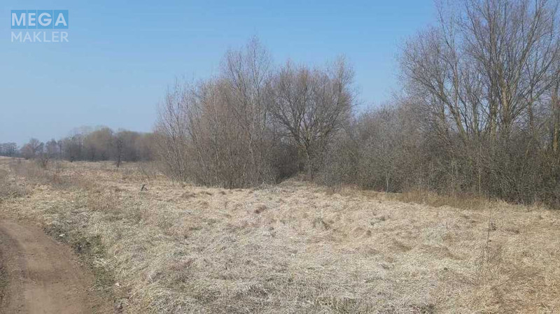 Продажа участка, 200 соток, земля сельскохозяйственного назначения, <a class="location-link" href="/voronkov/" title="Недвижимость Вороньків">Вороньків</a>, Вороньків (изображение 2)