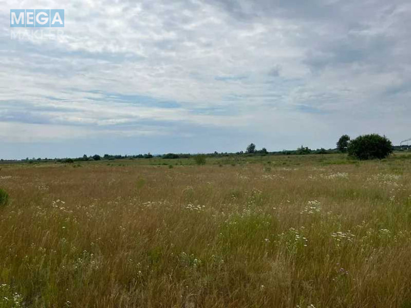 Продажа участка, 55 соток, земля сельскохозяйственного назначения, <a class="location-link" href="/golovurov/" title="Недвижимость Головурів">Головурів</a>, село Головурів (изображение 2)