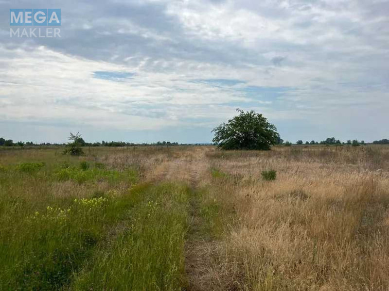 Продажа участка, 55 соток, земля сельскохозяйственного назначения, <a class="location-link" href="/golovurov/" title="Недвижимость Головурів">Головурів</a>, село Головурів (изображение 3)