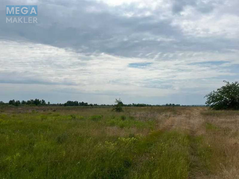 Продажа участка, 55 соток, земля сельскохозяйственного назначения, <a class="location-link" href="/golovurov/" title="Недвижимость Головурів">Головурів</a>, село Головурів (изображение 4)