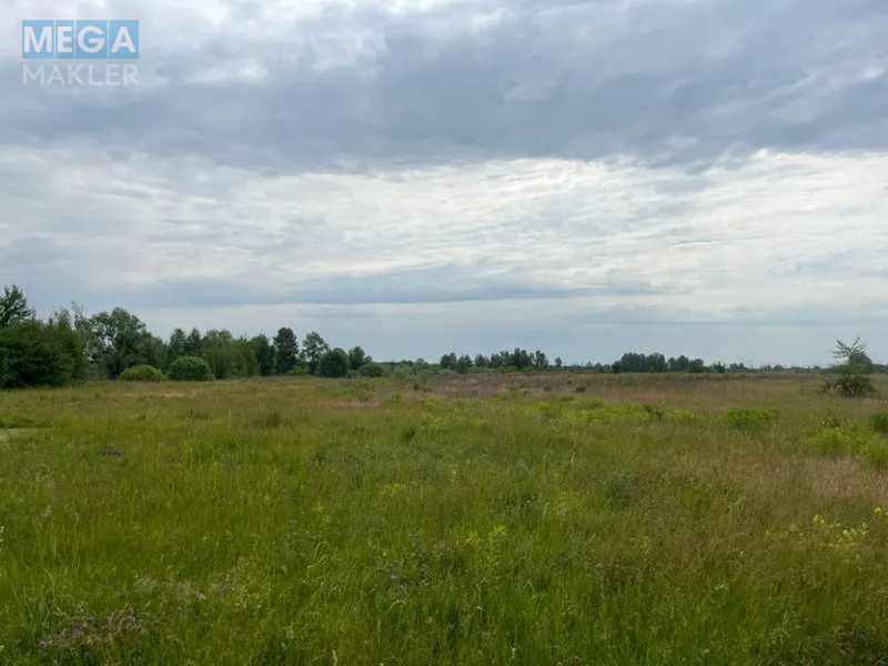 Продажа участка, 55 соток, земля сельскохозяйственного назначения, <a class="location-link" href="/golovurov/" title="Недвижимость Головурів">Головурів</a>, село Головурів (изображение 5)