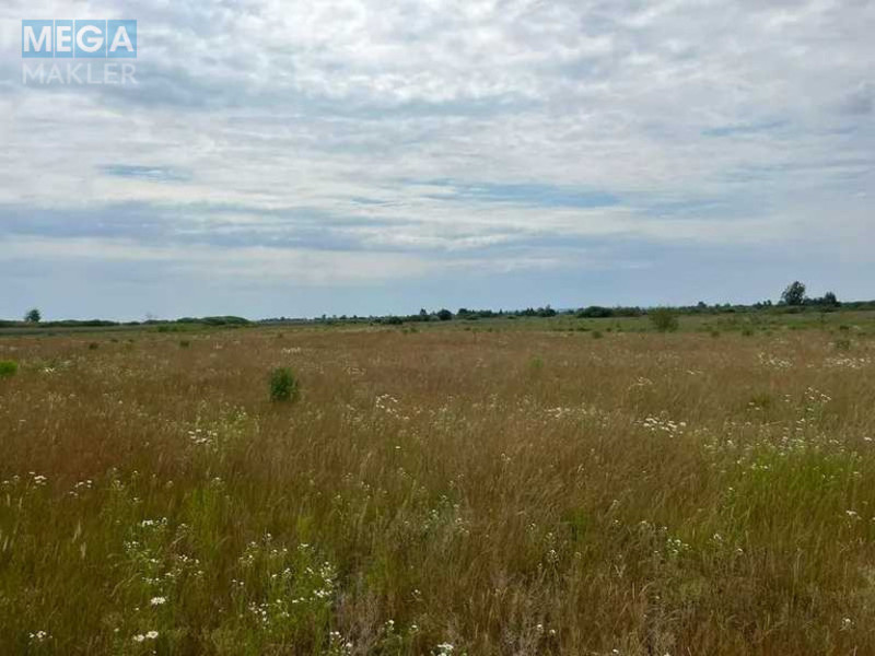 Продажа участка, 55 соток, земля сельскохозяйственного назначения, <a class="location-link" href="/golovurov/" title="Недвижимость Головурів">Головурів</a>, село Головурів (изображение 7)