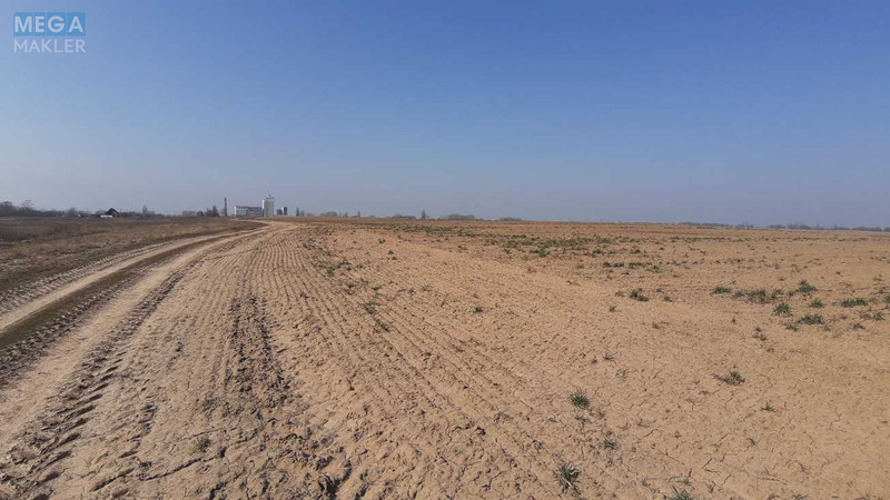 Продажа участка, 200 соток, земля сельскохозяйственного назначения, <a class="location-link" href="/voronkov/" title="Недвижимость Вороньків">Вороньків</a>, Вороньківська ТГ (изображение 3)
