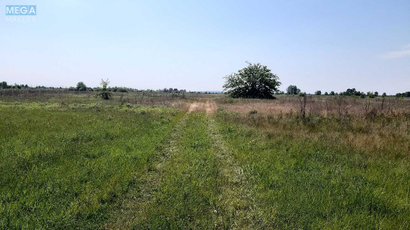 Продажа участка, 116 соток, земля сельскохозяйственного назначения, <a class="location-link" href="/golovurov/" title="Недвижимость Головурів">Головурів</a>, Головурівський с/о (изображение 4)