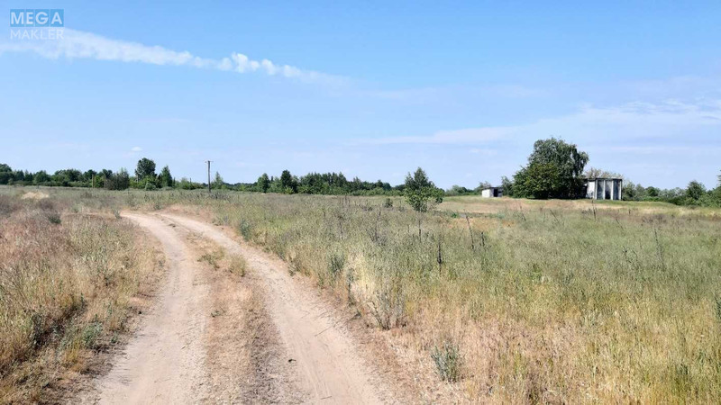 Продажа участка, 116 соток, земля сельскохозяйственного назначения, <a class="location-link" href="/golovurov/" title="Недвижимость Головурів">Головурів</a>, Головурівський с/о (изображение 5)