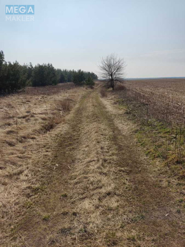 Продажа участка, 200 соток, земля сельскохозяйственного назначения, <a class="location-link" href="/voronkov/" title="Недвижимость Вороньків">Вороньків</a>, Вороньківська с/р (изображение 3)