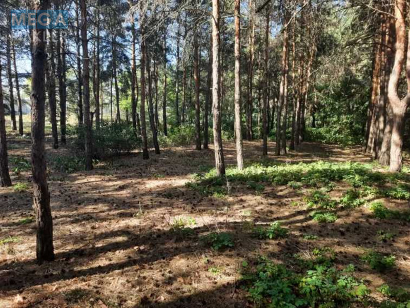 Продажа участка, 400 соток, земля сельскохозяйственного назначения, <a class="location-link" href="/voronkov/" title="Недвижимость Вороньків">Вороньків</a>, Вороньків (изображение 4)