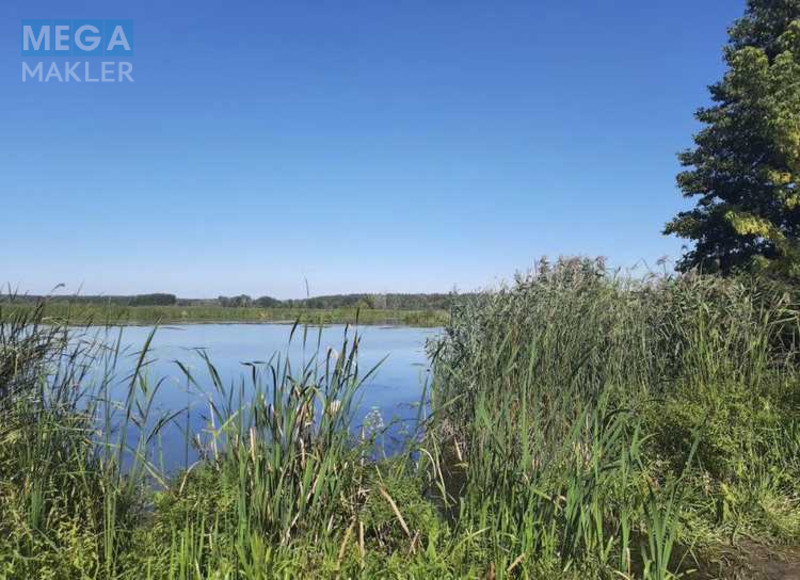 Продажа участка, 31 сотка, земля сельскохозяйственного назначения, <a class="location-link" href="/voronkov/" title="Недвижимость Вороньків">Вороньків</a>, Вороньків (изображение 4)