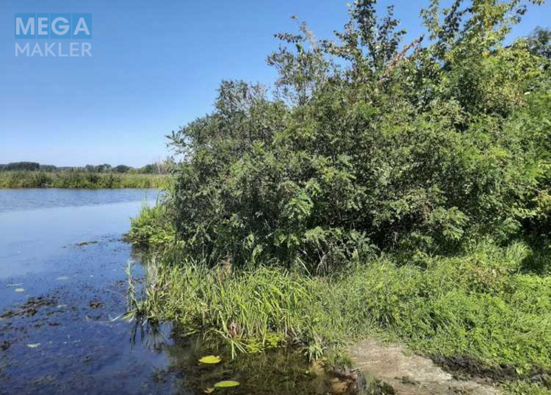 Продажа участка, 31 сотка, земля сельскохозяйственного назначения, <a class="location-link" href="/voronkov/" title="Недвижимость Вороньків">Вороньків</a>, Вороньків (изображение 5)