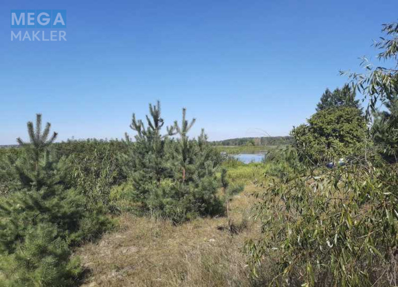 Продажа участка, 31 сотка, земля сельскохозяйственного назначения, <a class="location-link" href="/voronkov/" title="Недвижимость Вороньків">Вороньків</a>, Вороньків (изображение 6)