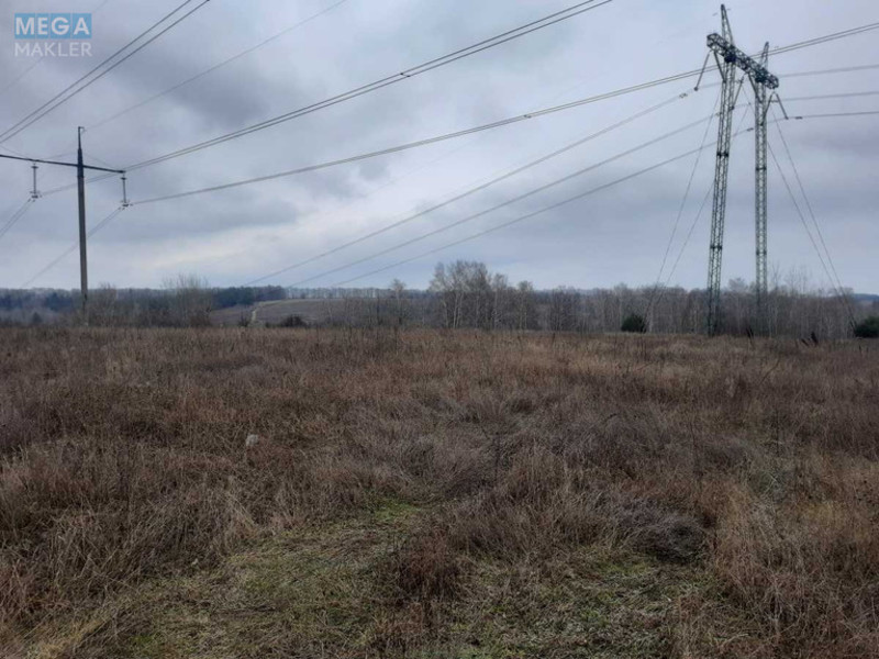 Продажа участка, 153 сотки, земля сельскохозяйственного назначения, <a class="location-link" href="/roslavichi/" title="Недвижимость Рославичі">Рославичі</a>, Долинова (изображение 2)