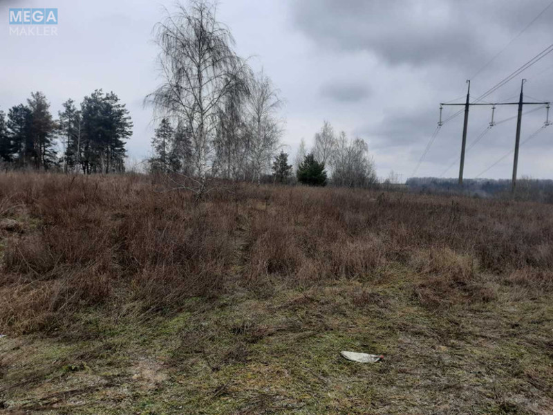 Продажа участка, 153 сотки, земля сельскохозяйственного назначения, <a class="location-link" href="/roslavichi/" title="Недвижимость Рославичі">Рославичі</a>, Долинова (изображение 3)