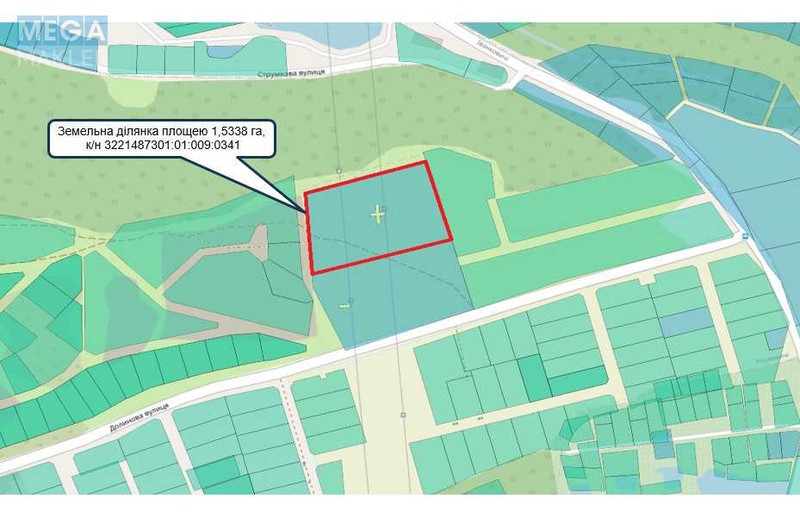 Продажа участка, 153 сотки, земля сельскохозяйственного назначения, <a class="location-link" href="/roslavichi/" title="Недвижимость Рославичі">Рославичі</a>, Долинова (изображение 6)