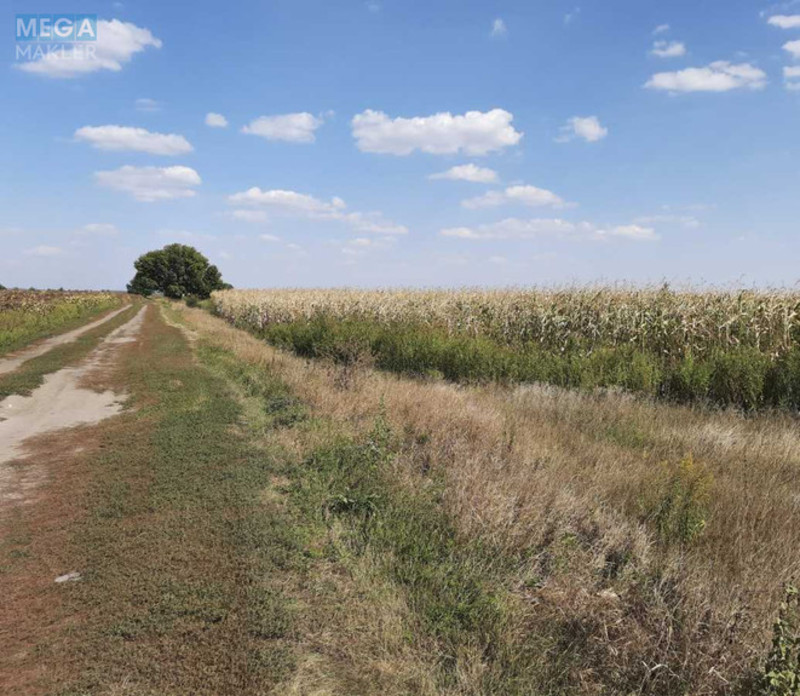 Продажа участка, 200 соток, земля сельскохозяйственного назначения, <a class="location-link" href="/ivankov-selo-kv/" title="Недвижимость Іванків">Іванків</a>, Іванків (изображение 3)
