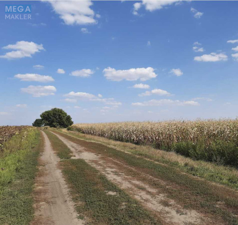 Продажа участка, 200 соток, земля сельскохозяйственного назначения, <a class="location-link" href="/ivankov-selo-kv/" title="Недвижимость Іванків">Іванків</a>, Іванків (изображение 4)