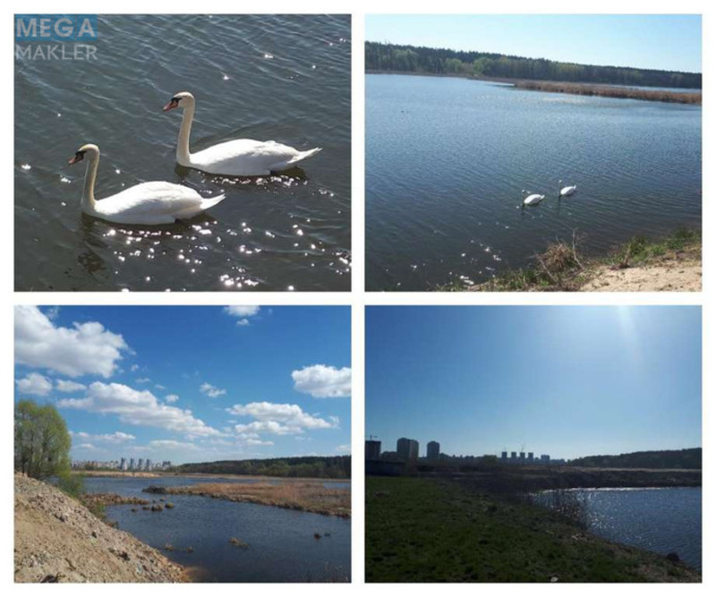 Продажа участка, 16 соток, участок под жилую застройку, <a class="location-link" href="/kiev/" title="Недвижимость Київ">Київ</a>, <a class="location-link" href="/kiev/svyatoshinskij/" title="Недвижимость Святошинський район">Святошинський р-н</a>, Обуховская ул. (изображение 4)