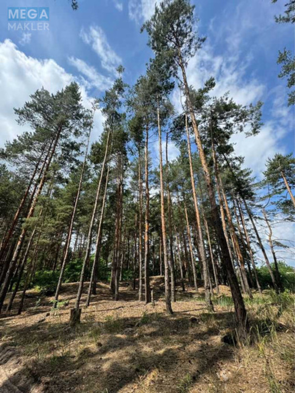 Продажа участка, 27 соток, участок под жилую застройку, <a class="location-link" href="/procov/" title="Недвижимость Проців">Проців</a>, Хутірська (изображение 2)