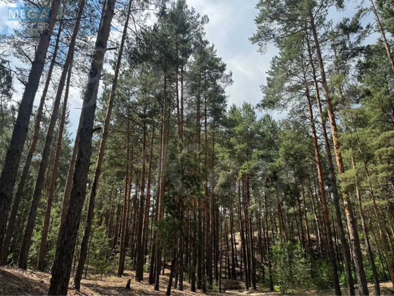 Продажа участка, 27 соток, участок под жилую застройку, <a class="location-link" href="/procov/" title="Недвижимость Проців">Проців</a>, Хутірська (изображение 4)