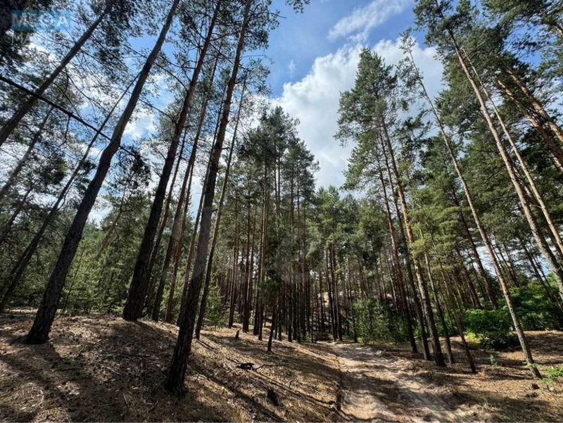Продажа участка, 27 соток, участок под жилую застройку, <a class="location-link" href="/procov/" title="Недвижимость Проців">Проців</a>, Хутірська (изображение 5)