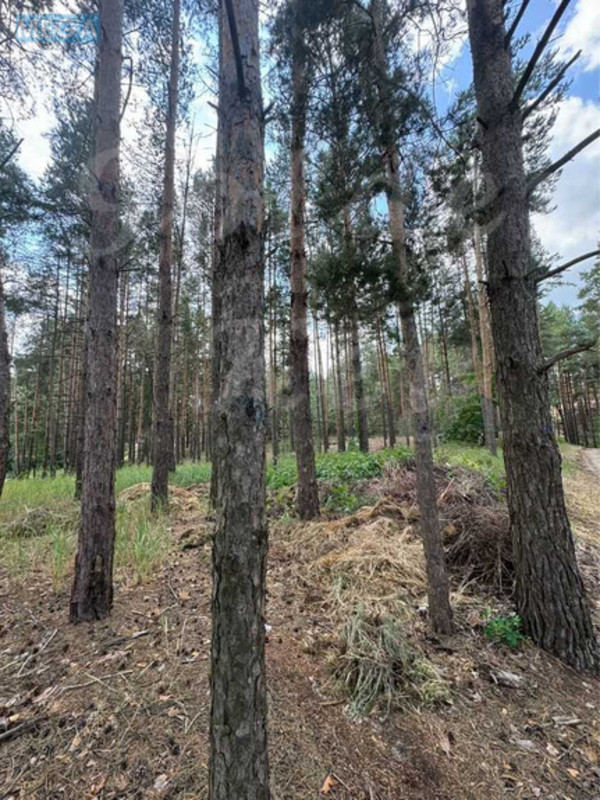 Продажа участка, 27 соток, участок под жилую застройку, <a class="location-link" href="/procov/" title="Недвижимость Проців">Проців</a>, Хутірська (изображение 6)