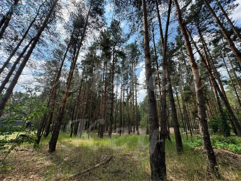 Продажа участка, 27 соток, участок под жилую застройку, <a class="location-link" href="/procov/" title="Недвижимость Проців">Проців</a>, Хутірська (изображение 7)