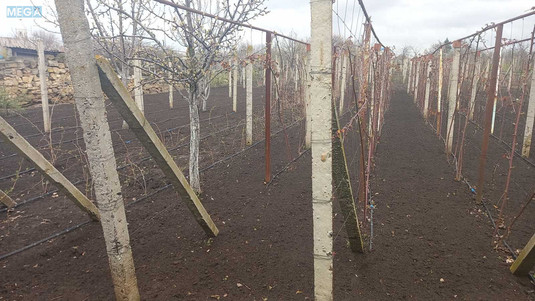 Продажа участка, 10&nbsp;соток, участок под жилую застройку, <a class="location-link" href="/nerubajskoe/" title="Недвижимость Нерубайське">Нерубайське</a>, Экономическая (изображение 2)