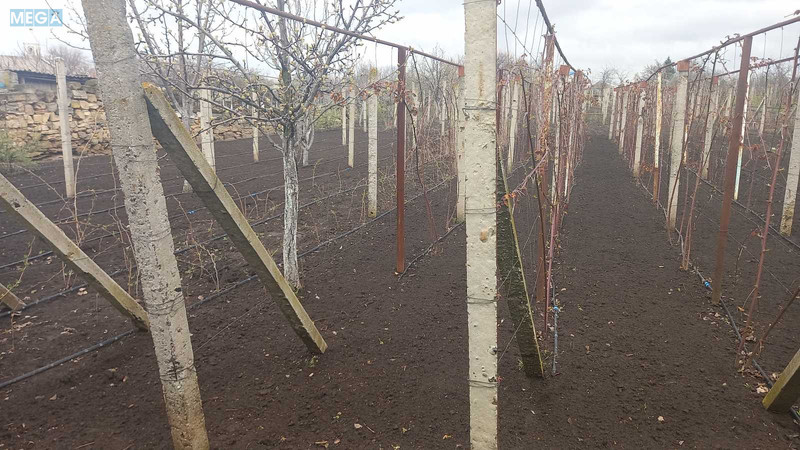 Продажа участка, 10 соток, участок под жилую застройку, <a class="location-link" href="/nerubajskoe/" title="Недвижимость Нерубайське">Нерубайське</a>, Экономическая (изображение 2)