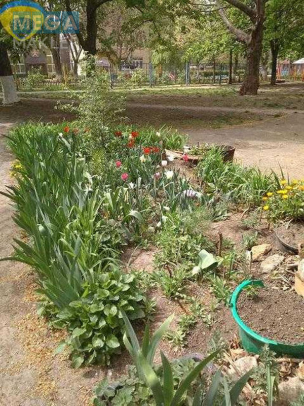 Продаж дома, 1 поверх, 78 кв.м, 3 кімнати, ділянка 5 соток, <a class="location-link" href="/odessa/" title="Недвижимость Одеса">Одеса</a>, <a class="location-link" href="/odessa/suvorovskij/" title="Недвижимость Суворовський район">Суворовський р-н</a>, Неждановой (изображение 4)