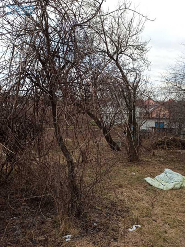 Продажа участка, 17 соток, участок под жилую застройку, <a class="location-link" href="/velikaya-omelyana/" title="Недвижимость Велика Омеляна">Велика Омеляна</a>, тиха (изображение 9)