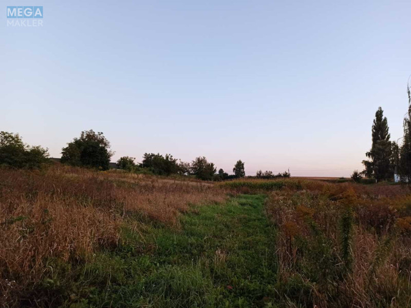 Продажа участка, 17 соток, участок под жилую застройку, <a class="location-link" href="/velikaya-omelyana/" title="Недвижимость Велика Омеляна">Велика Омеляна</a>, тиха (изображение 13)