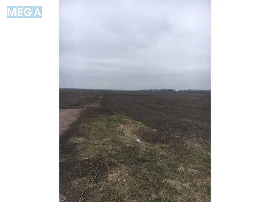 Продажа участка, 355,46&nbsp;соток, земля сельскохозяйственного назначения, <a class="location-link" href="/bobrovitsa/" title="Недвижимость Бобровиця">Бобровиця</a>, Нова (изображение 3)