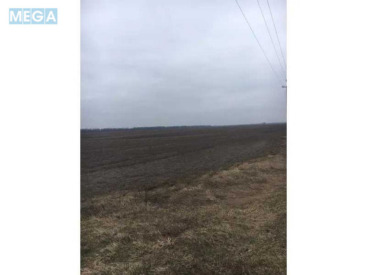 Продажа участка, 355,46&nbsp;соток, земля сельскохозяйственного назначения, <a class="location-link" href="/bobrovitsa/" title="Недвижимость Бобровиця">Бобровиця</a>, Нова (изображение 4)