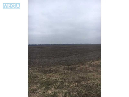 Продажа участка, 355,46&nbsp;соток, земля сельскохозяйственного назначения, <a class="location-link" href="/bobrovitsa/" title="Недвижимость Бобровиця">Бобровиця</a>, Нова (изображение 5)