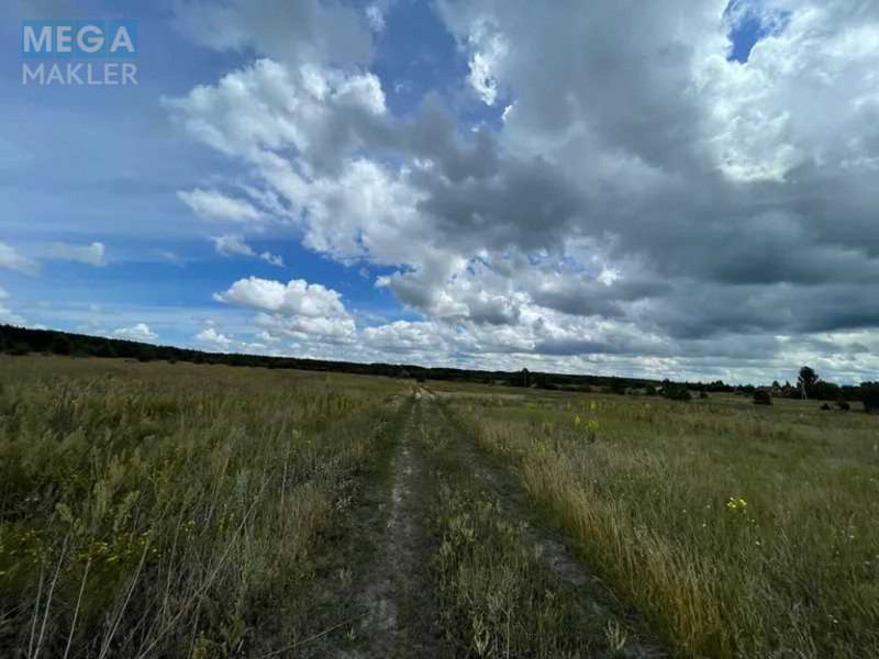 Продажа участка, 9,77 соток, земля сельскохозяйственного назначения, <a class="location-link" href="/abramovka/" title="Недвижимость Абрамівка">Абрамівка</a>, Нова (изображение 2)