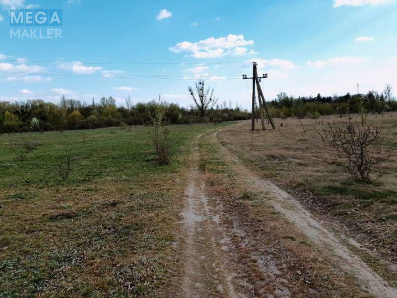 Продажа участка, 1 000 соток, земля коммерческого назначения, <a class="location-link" href="/trushki/" title="Недвижимость Трушки">Трушки</a>, Центральна (изображение 4)