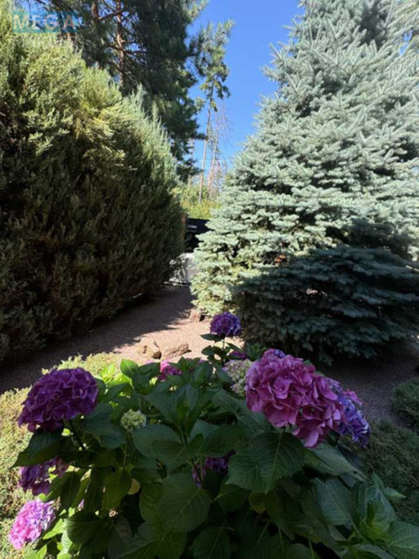 Продаж дома, 2 поверху, 200 кв.м, 4 кімнати, ділянка 7 соток, <a class="location-link" href="/gora/" title="Недвижимость Гора">Гора</a>, Лісова, 3 (изображение 3)
