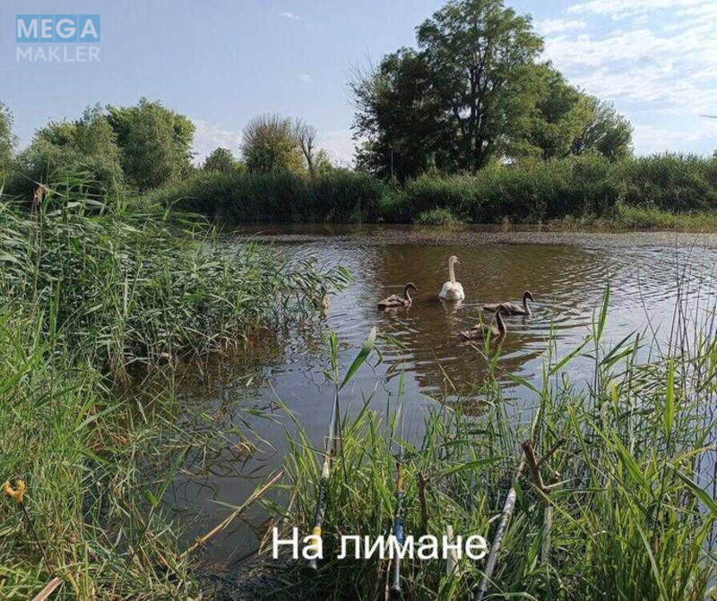Продаж дома, 4 поверху, 194 кв.м, 5 кімнат, ділянка 12 соток, <a class="location-link" href="/burdovka/" title="Недвижимость Бурдівка">Бурдівка</a>, Моряк4, 29 (изображение 4)