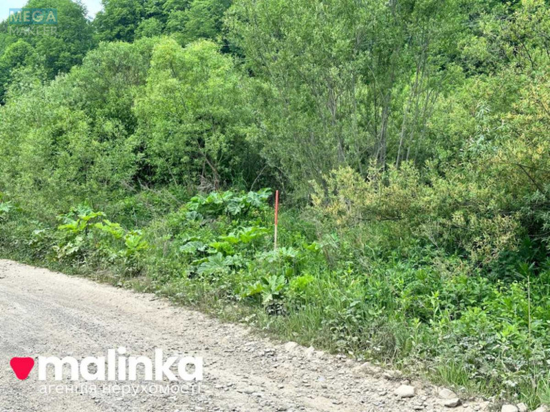 Продажа участка, 30 соток, земля сельскохозяйственного назначения, <a class="location-link" href="/verhnee-sinevidnoe/" title="Недвижимость Верхнє Синьовидне">Верхнє Синьовидне</a>, За Рікою (изображение 3)