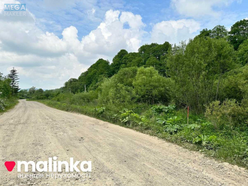 Продажа участка, 30 соток, земля сельскохозяйственного назначения, <a class="location-link" href="/verhnee-sinevidnoe/" title="Недвижимость Верхнє Синьовидне">Верхнє Синьовидне</a>, За Рікою (изображение 4)