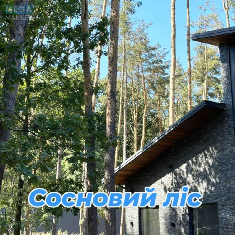 Продаж дома, 1 поверх, 279 кв.м, 6 кімнат, ділянка 60 соток, <a class="location-link" href="/kiev/" title="Недвижимость Київ">Київ</a>, <a class="location-link" href="/kiev/pecherskij/" title="Недвижимость Печерський район">Печерський р-н</a>, Дубенська вул. (изображение 9)